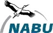 Zählen, was zählt - NABU startet Aktion Insektensommer