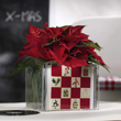 Weihnachtsstern in einer ganz besonderen Vase